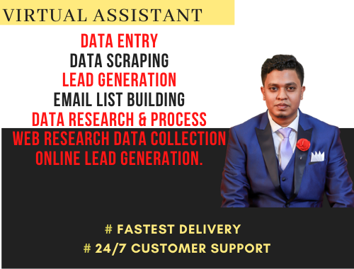10 year experienced Virtual Assistant at your service for any kind of help you need remotely
