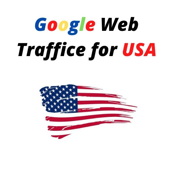 Google Targeted Web Traffice for USA 