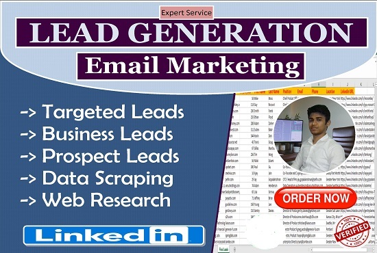 I will do B2B and B2C Lead Generation and Web Research