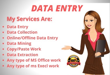I will do your data entry in virtual assistant and web research