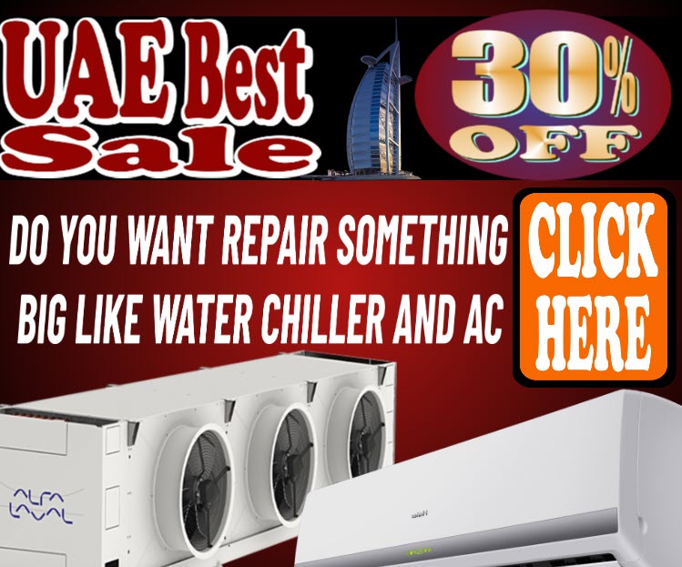 I can create a WordPress Website Design and WordPress Installation.