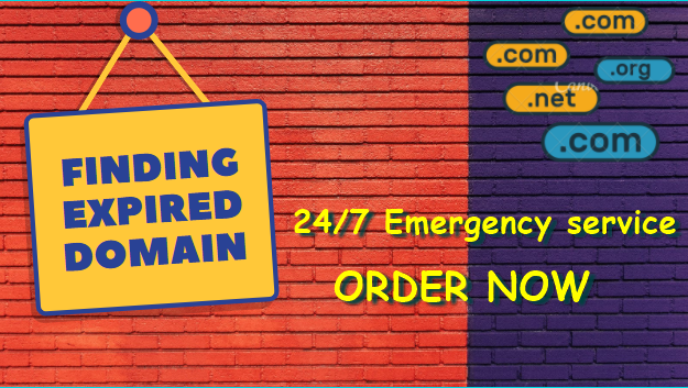 I will find niche relevant expired domain