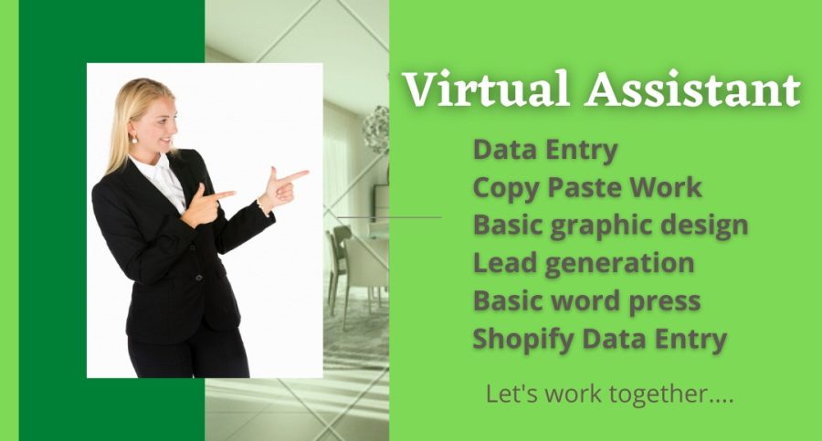 I will be your virtual assistant in all your business needs