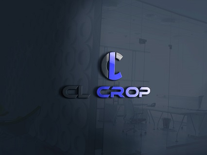 I will design a modern, minimalist business logo