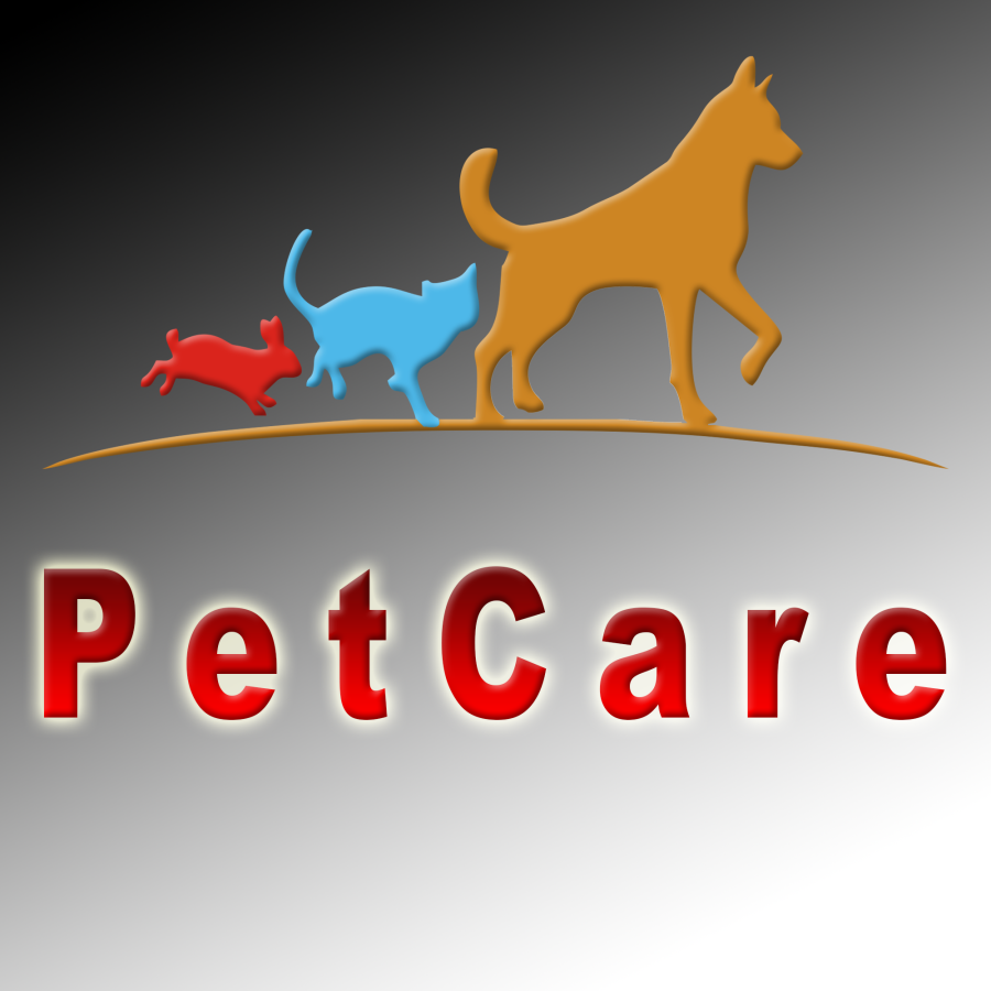 I will Design Professional Logos