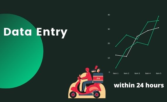 I will provide data entry,copy-paste