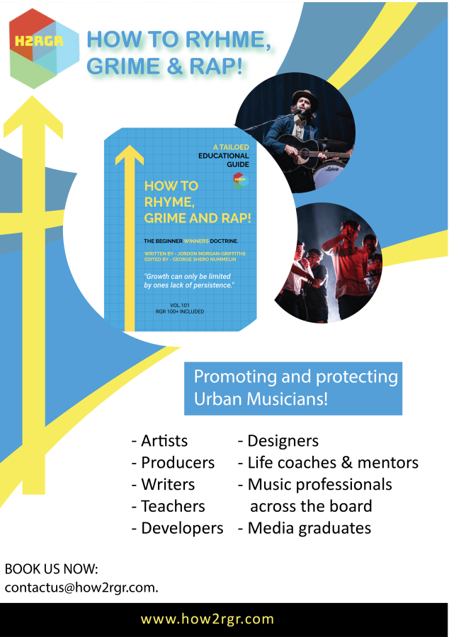 I will design stylish and professional poster, infographics
