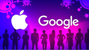 I will do amazing on page SEO optimization of your wordpress site