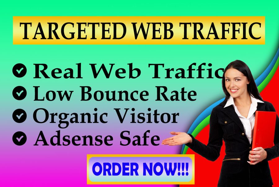 I will bring real USA targeted web traffic, real daily visitors promote in google