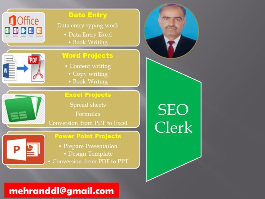 Data Entry Master (compltion of projects within 3 days with unlimited changes