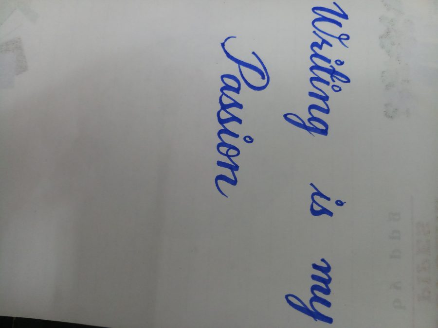 Content writing .Writing is my passion.I can write what you need for your personal as well as your 