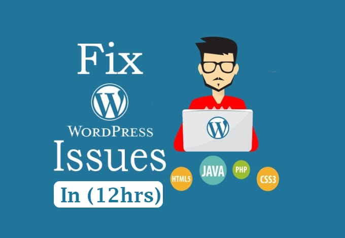 I will do maintenance,updates, fixes to wordpress in 12 hours
