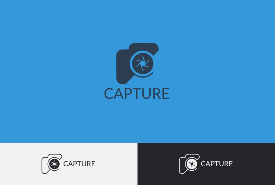 I will do professional minimalist patent quality logo design