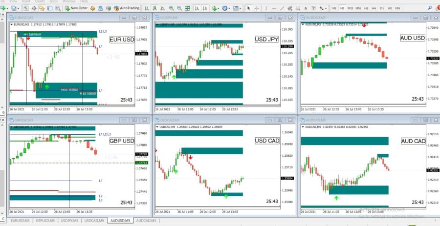 We will provide you Prize Action Trading PDF, Best Indicator and Full Video Course