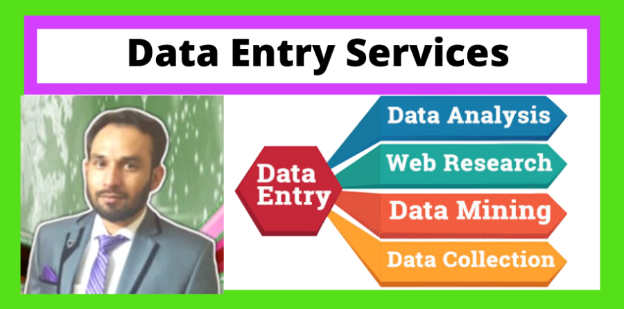 Data Entry Services (MS Word, MS Excel, MS Access)