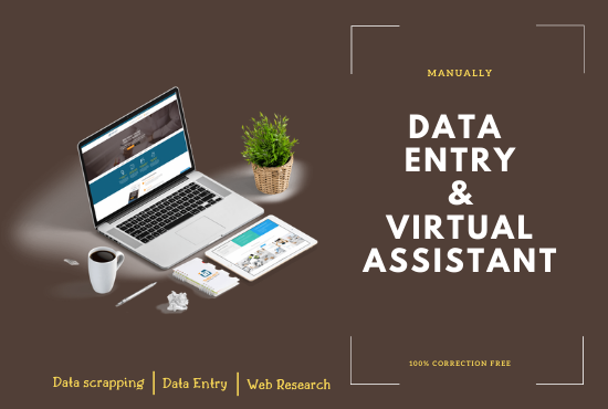 I Will manually do your data entry