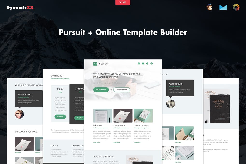 I will design custom web page and landing page