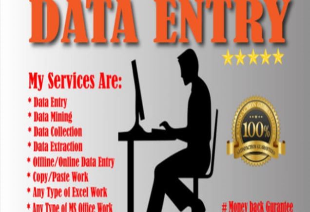 I will do in half day of any data entry copy paste and web research work