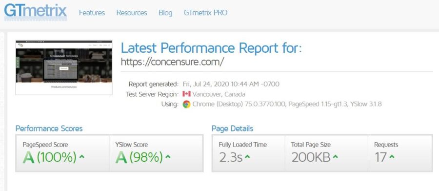 I will control website speed optimization