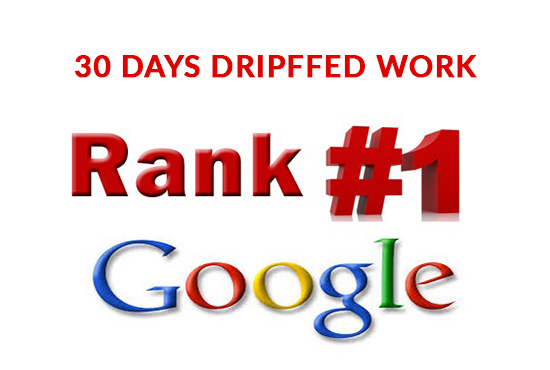 I will provide google ranking full service
