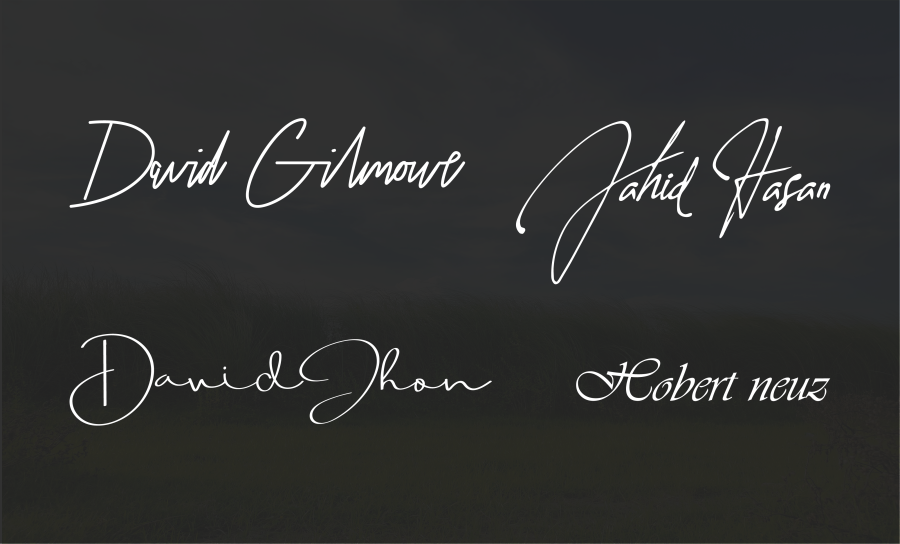 I will design stylish, unique and stunning signature logo