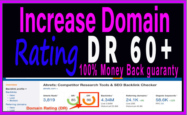 I will increase domain rating DR ahrefs 0 to 50 plus