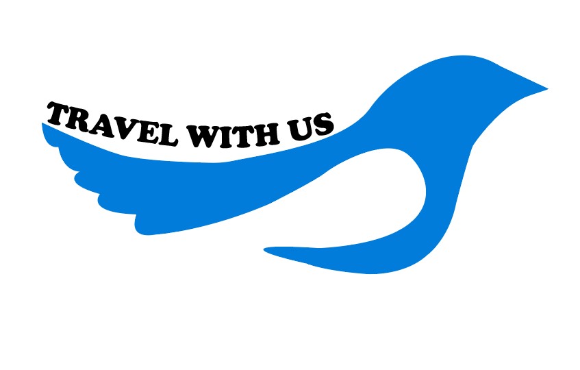 I will design modern,professional logos