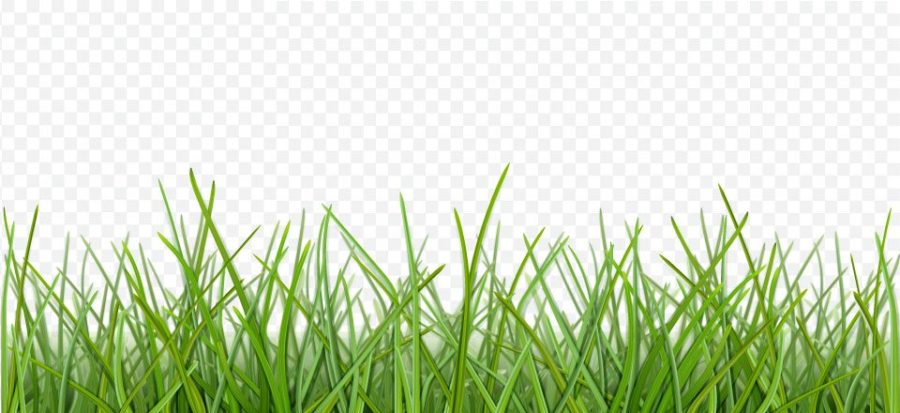 I will do background removal to your photos