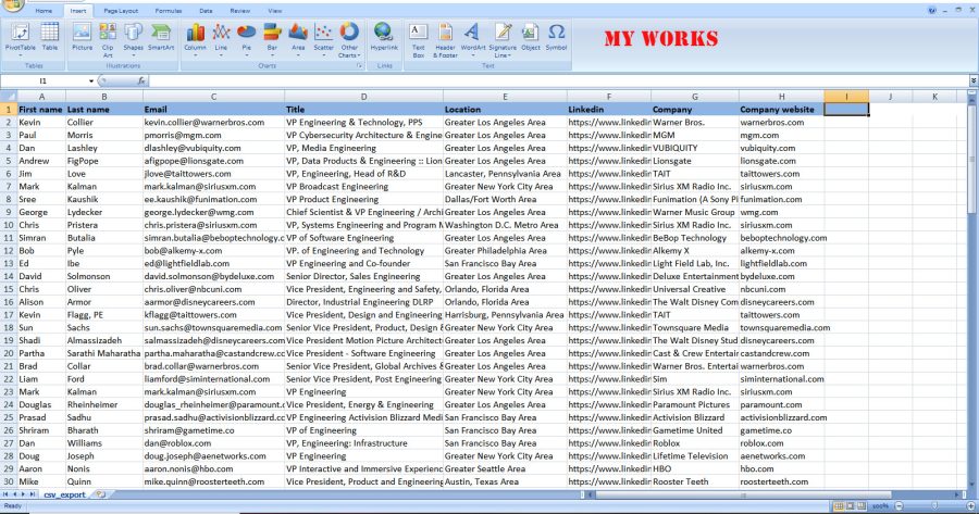 I will do data entry, copy paste, web scraping and excel data entry services
