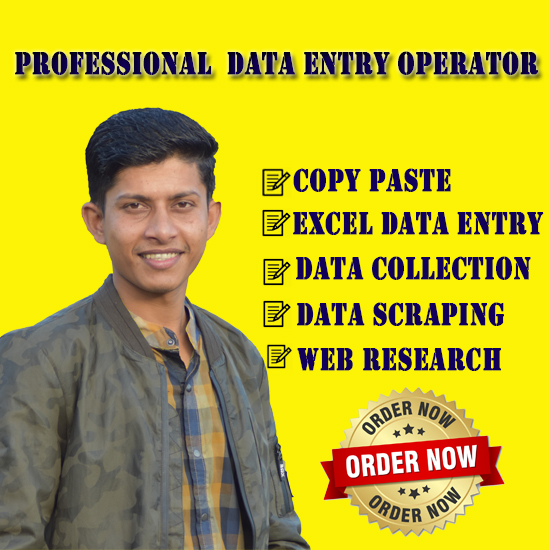 I will do data entry, copy paste, web scraping and excel data entry services
