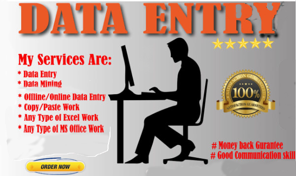 Do all kinds of data entries and Document conversions