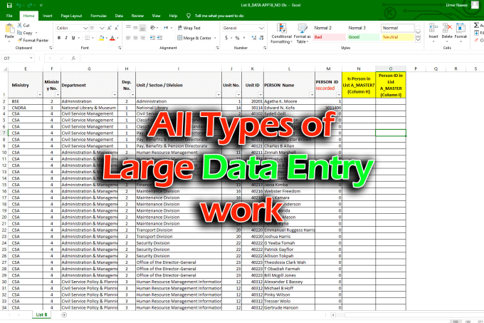 Do all kinds of data entries and Document conversions