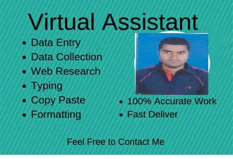  I will do data entry, web research, find business email and contacts 