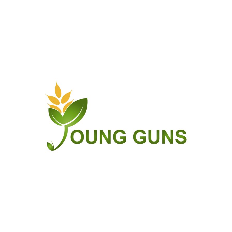 I CAN CREATE PROFESSIONAL LOGO DESIGN