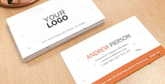 I will Create a business card logo or letterhead 