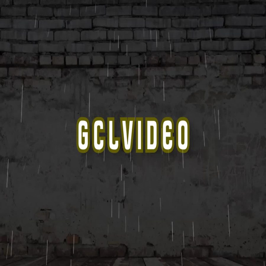 video edit logo animation for your job