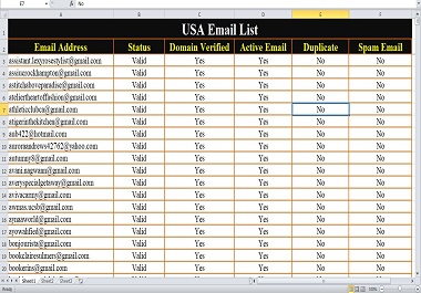10,000 USA Niche targeted verified Email List for Email Marketing