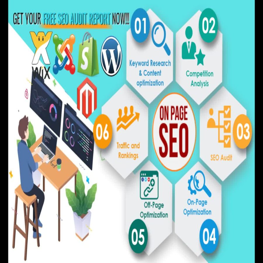 I will do wordpress yoast SEO onpage optimization with image alt tag and schema markup