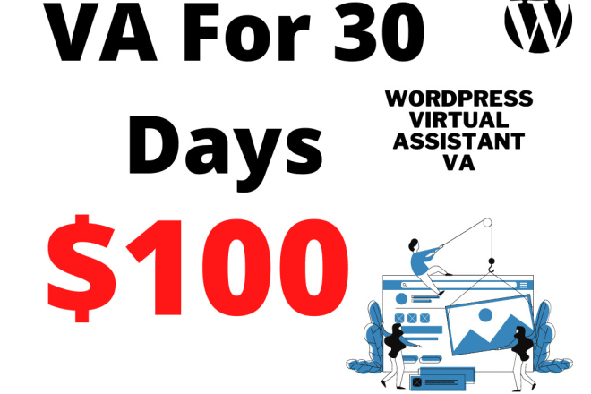 I Will be your wordpress virtual Assistant VA