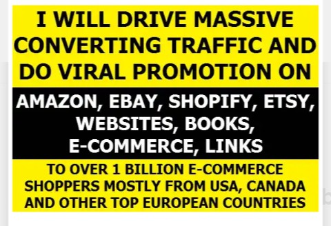 I will drive real human traffic with proof to ecommerce,website promotion for $1