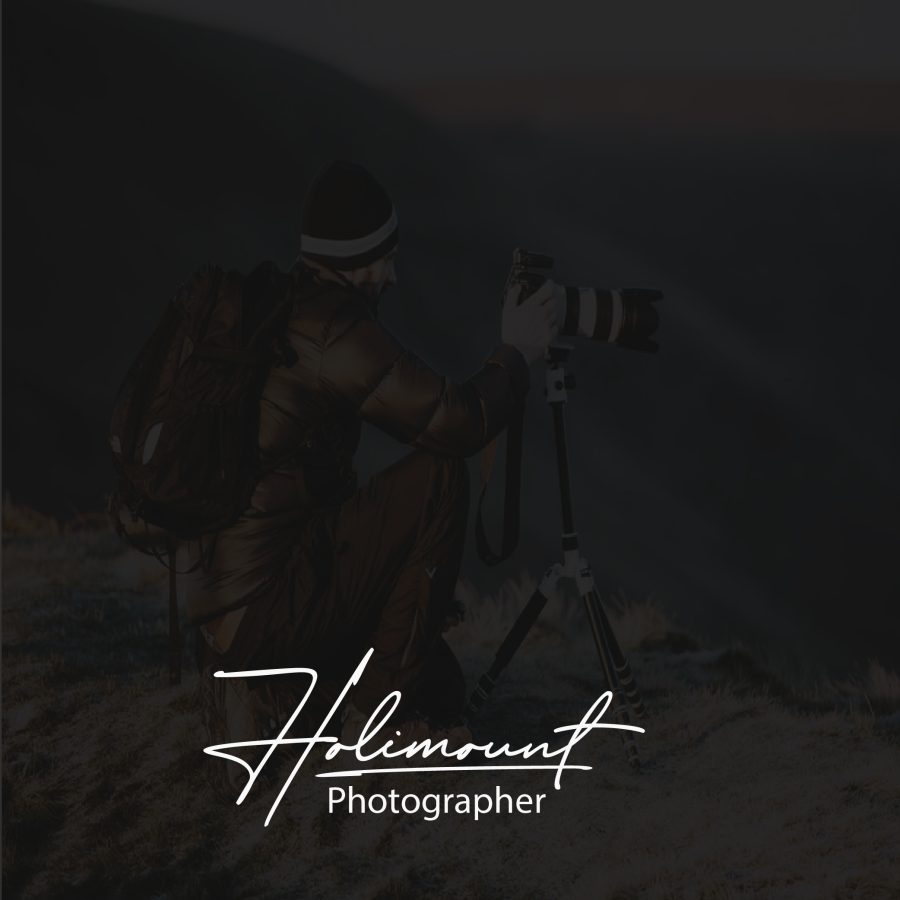 I will make a professional Handwritten logo, signature logo for you