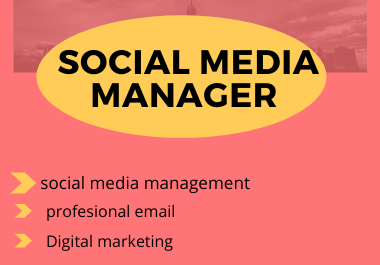 I will be your social media manager & content writer 
