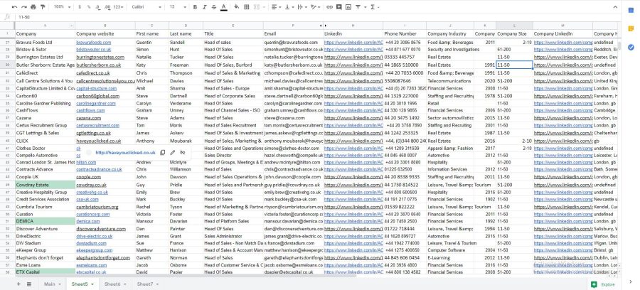 I will do b2b lead generation and contact list building 