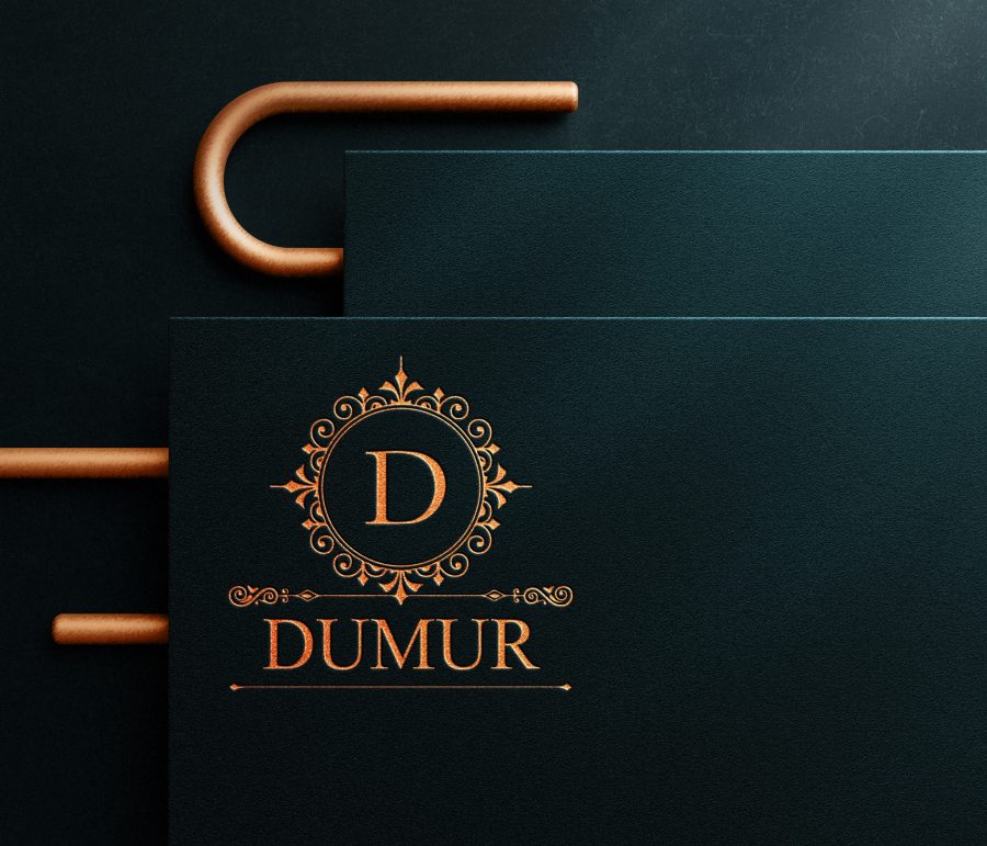 I will do creative professional logo design with free revision