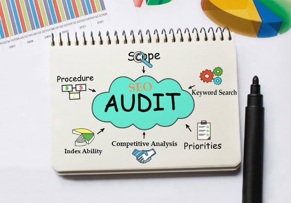 I will provide an expert SEO report or audit, competitor website audit