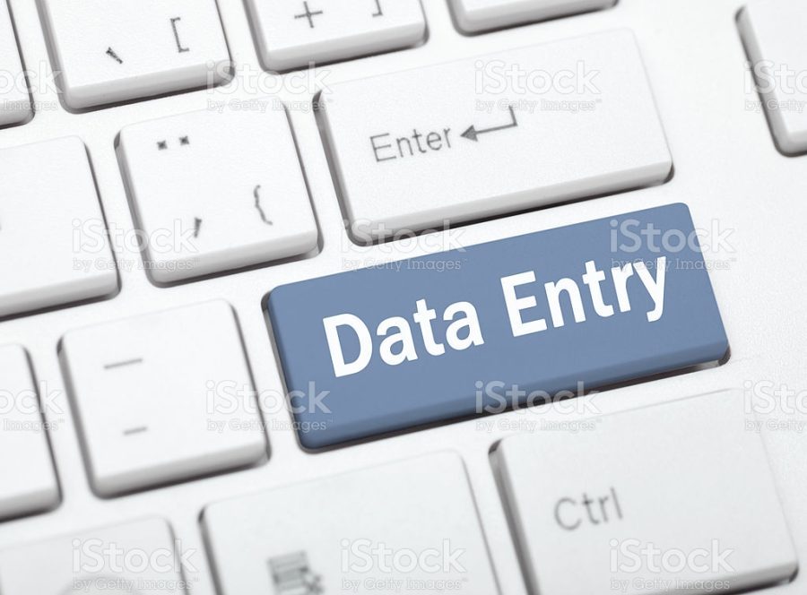 I will do data entry,Social Marketing, seo.