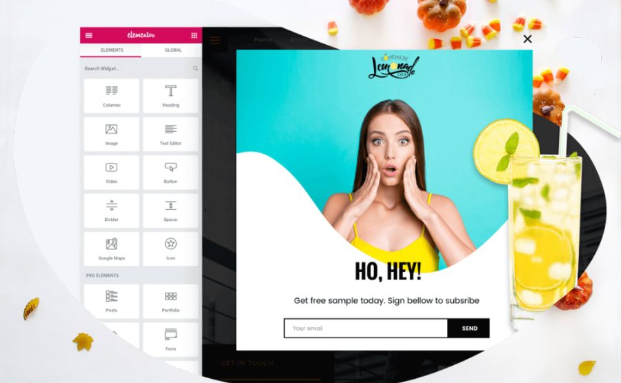 I will use elementor pro to design custom WordPress website