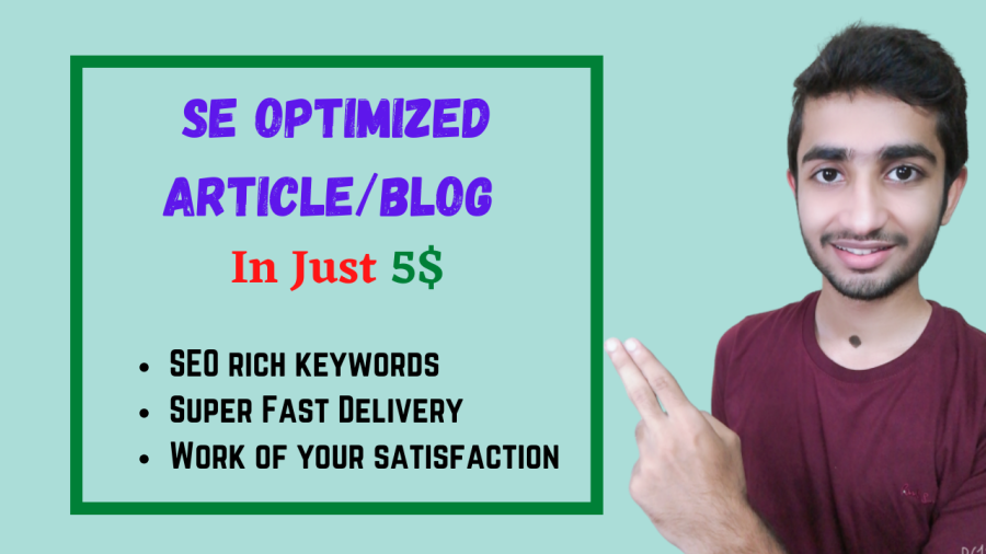 1000 WORDS long SE optimized article/blog of any niche