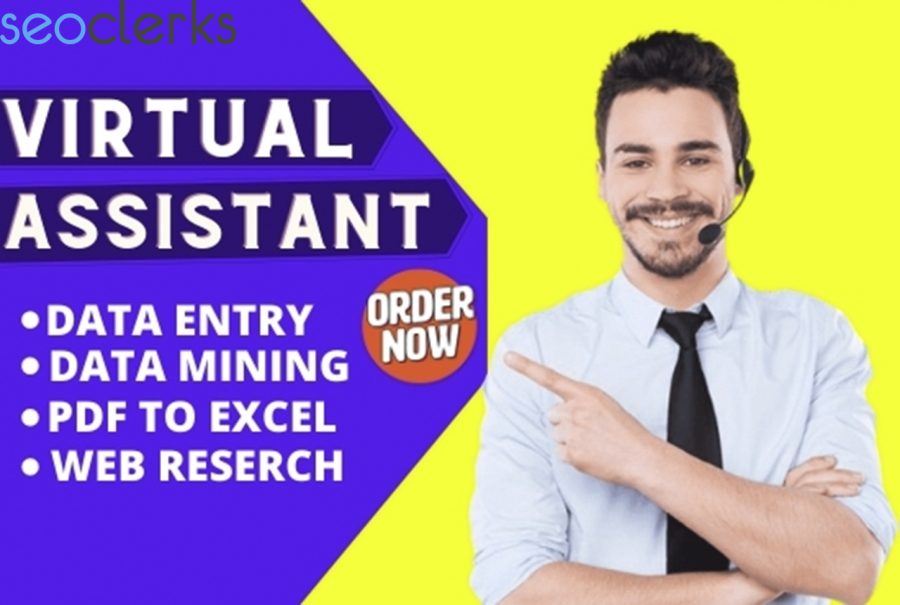 I will be your virtual assistant and do data entry, web research for 3 hours