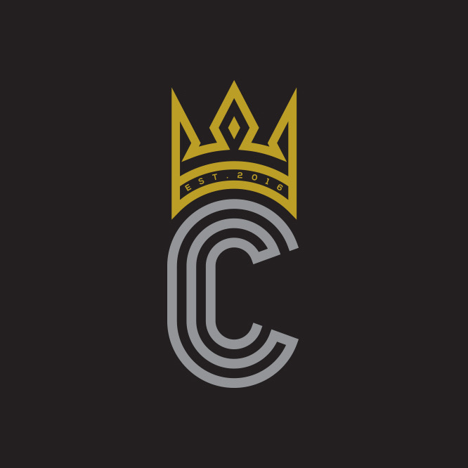 I will design unique LOGOS for your company/websites with in 1 day